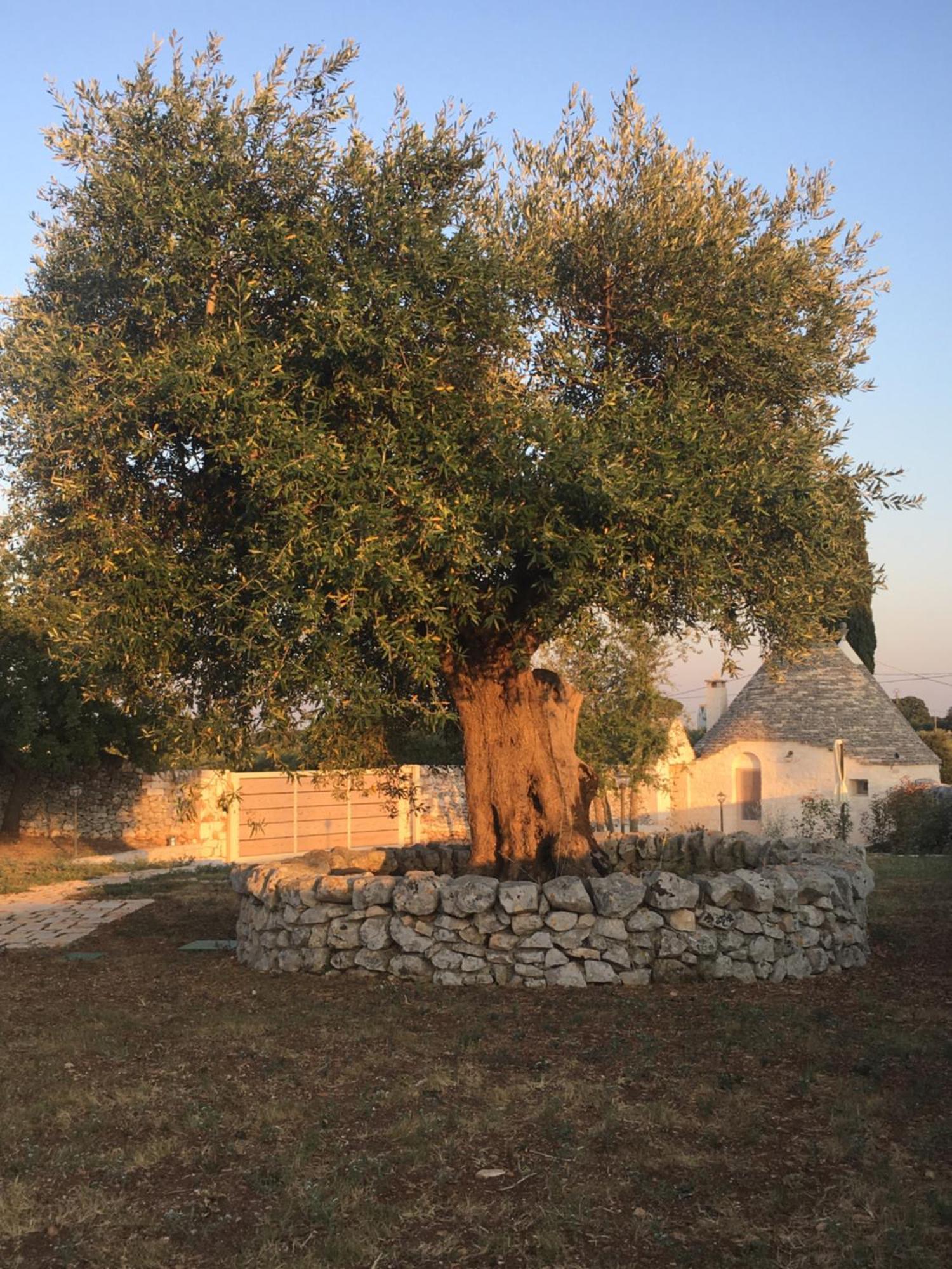 Trulli Le 2 Nicchie Locorotondo Exterior foto
